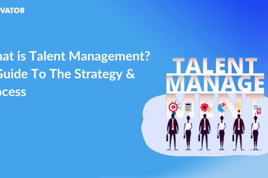 What is Talent Management A Guide To The Strategy Process